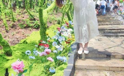 第四色百度影音